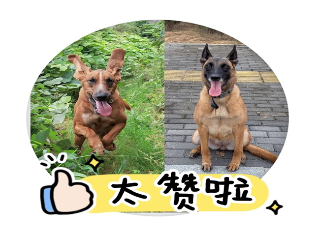 左：饕餮，右：南海