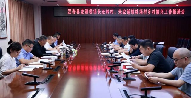 聚力精准帮扶 赋能乡村振兴——我市召开长茂岭村、林场村驻村帮扶工作推进会